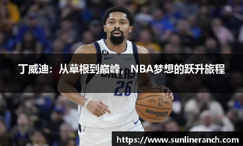 丁威迪：从草根到巅峰，NBA梦想的跃升旅程